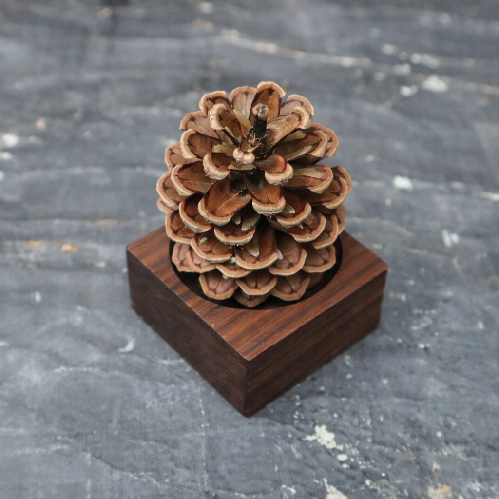 Pinecone Wooden Essential Oil Diffuser