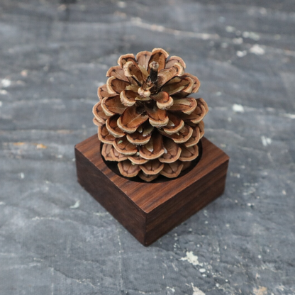 Pinecone Wooden Essential Oil Diffuser
