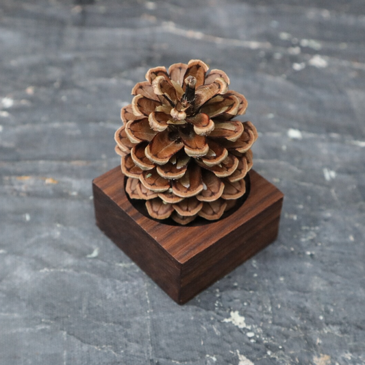 Pinecone Wooden Essential Oil Diffuser