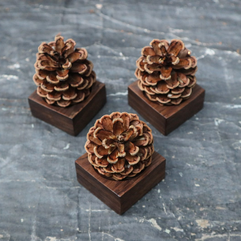 Pinecone Wooden Essential Oil Diffuser