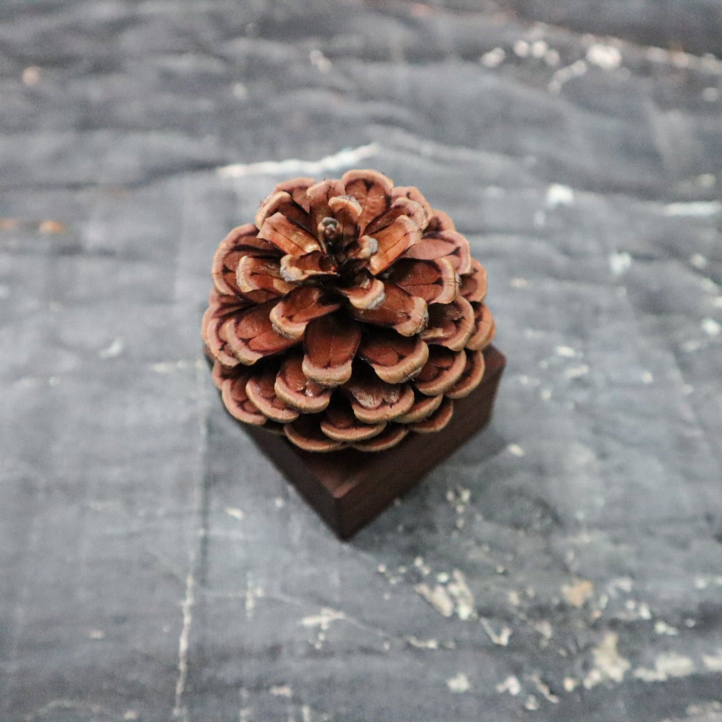 Pinecone Wooden Essential Oil Diffuser